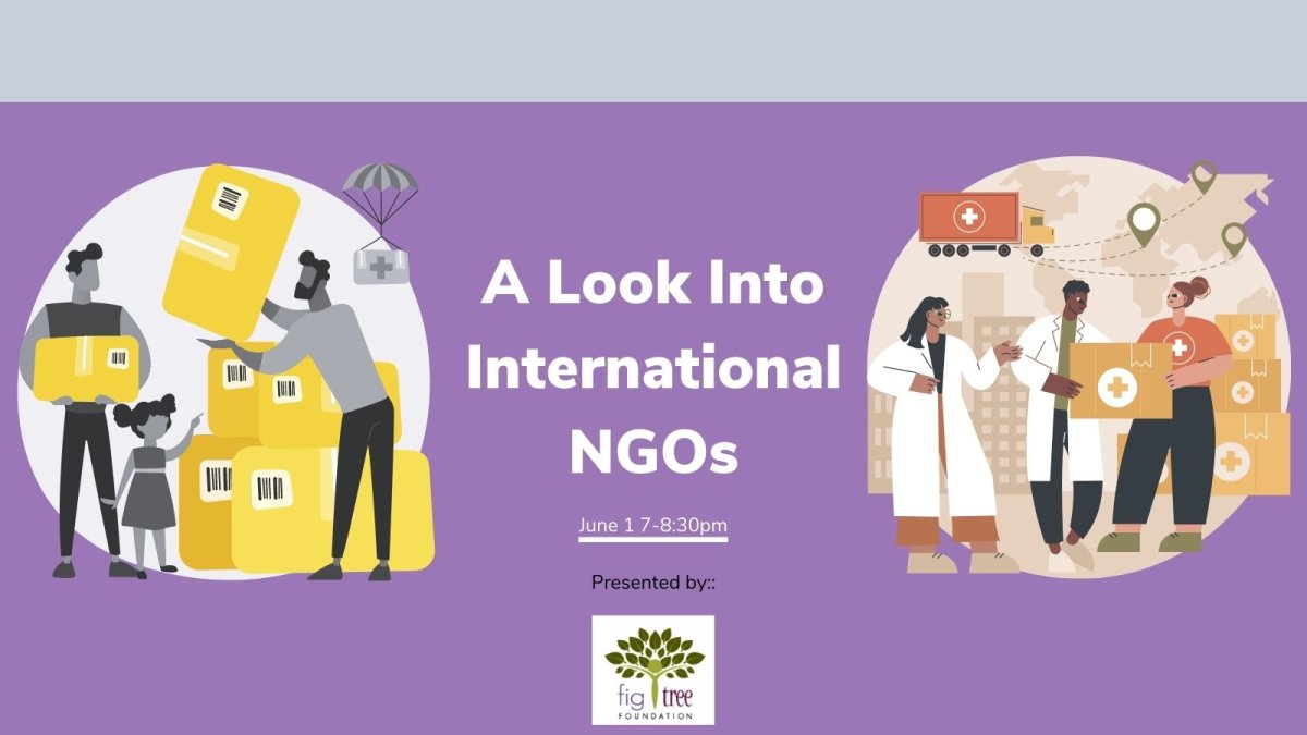 A Look Into International NGOs - image