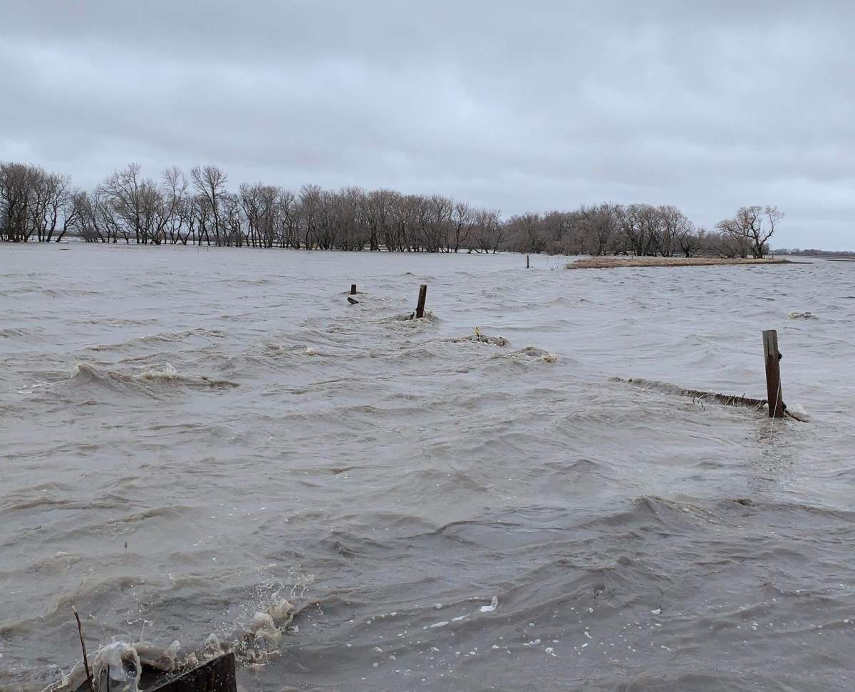 Overland flooding has washed out roads in the RM of Dufferin and prompted half-a-dozen evacuations in the town of Carman.