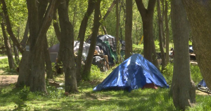 Kingston, Ont. seeks court order to remove homeless encampment at Belle Park