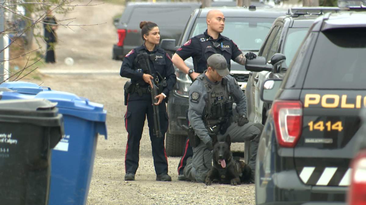 Calgary police are responding to a shooting in the city's southeast neighbourhood of Forest Lawn on Wednesday morning.