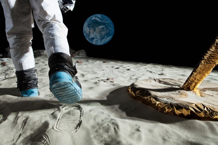 Scientists grow plants in soil from moon: ‘It took our breath away’