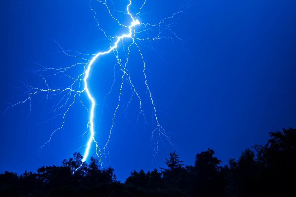 Massive fork lightning strike at night. Forked lightning bolt from the sky to the ground with trees silhouetted in the bottom of the picture and a blue night sky behind