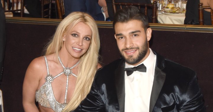Britney Spears says she suffered miscarriage of unexpected ‘miracle baby’ – National