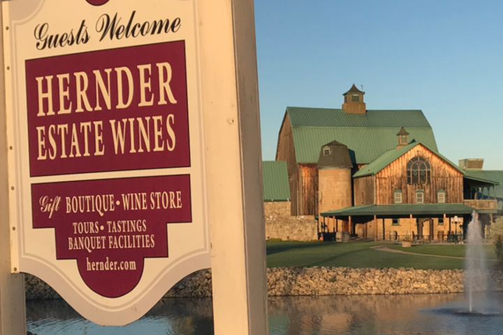 Musical, wine tasting to mark return of Niagara winery devastated by March fire