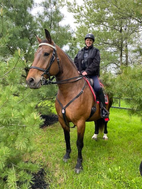 Kingston police have welcomed a new addition to their mounted unit.