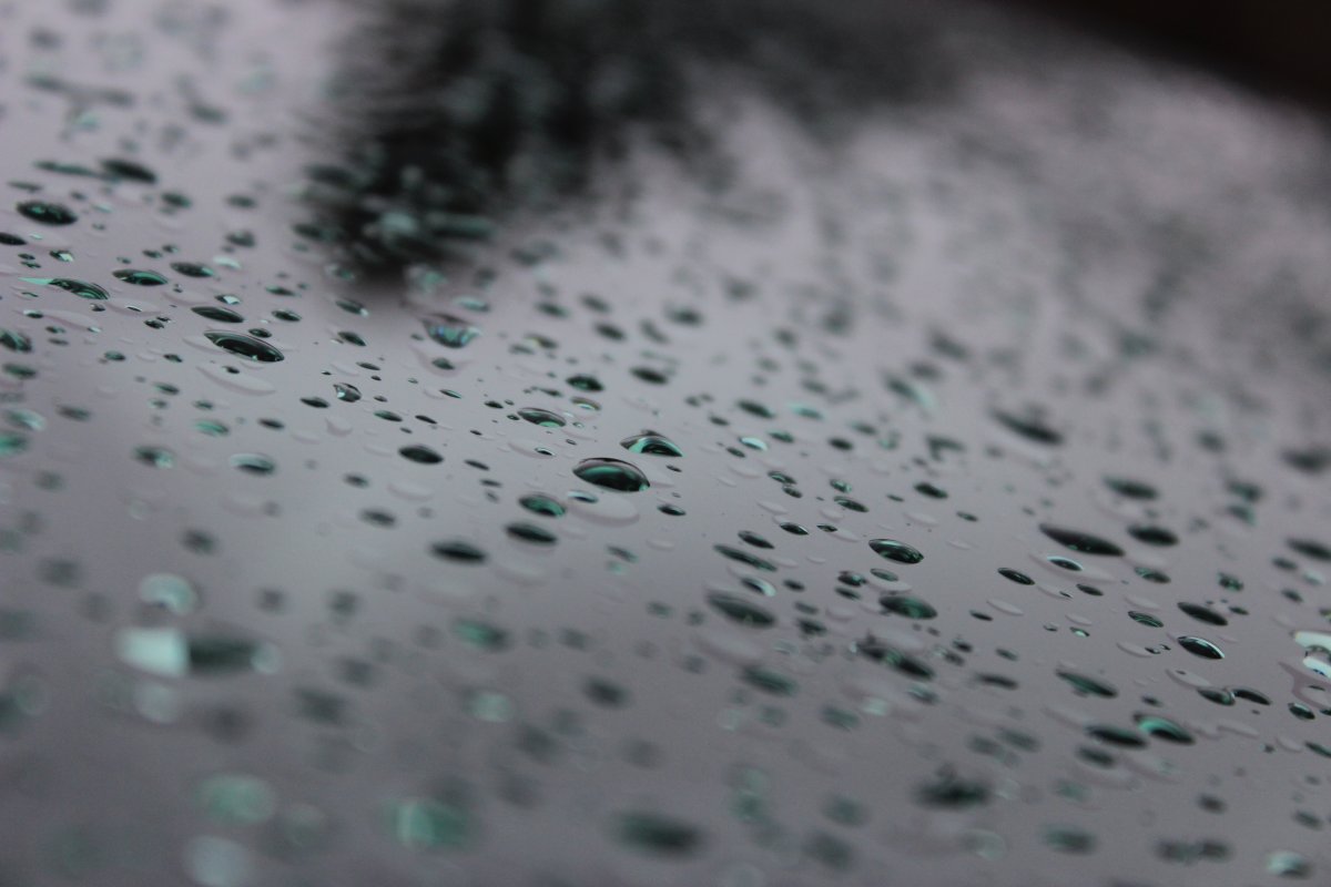 Wet weather is in the forecast for most of the Victoria Day weekend across southern Ontario.
