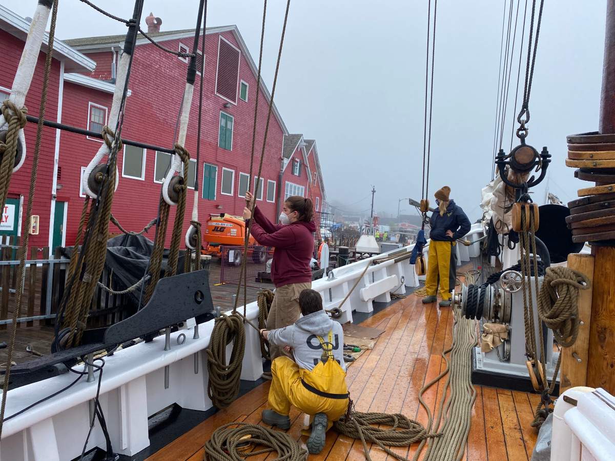Nova Scotia’s Bluenose II inviting the public back for summer cruises - image