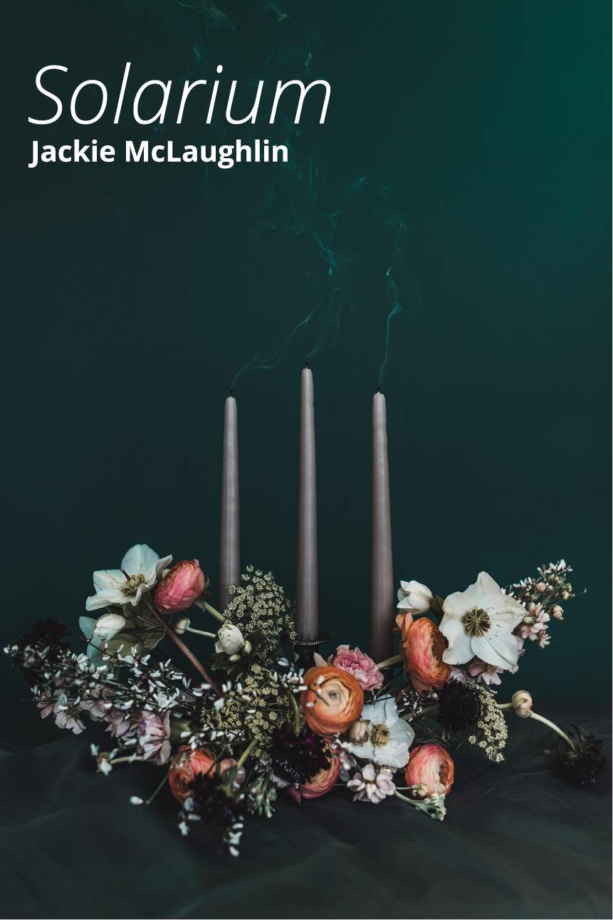 Solarium by Jackie McLaughlin at the Alternator Centre for Contemporary Art - image