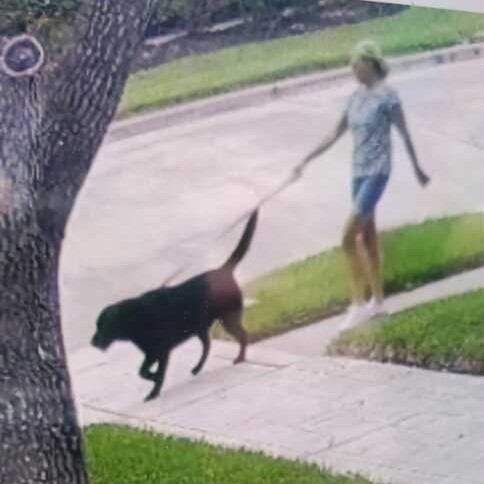 Local police released this image of Sherry Noppe walking her dog Max after the Texas mother got lost in a local wooded park.