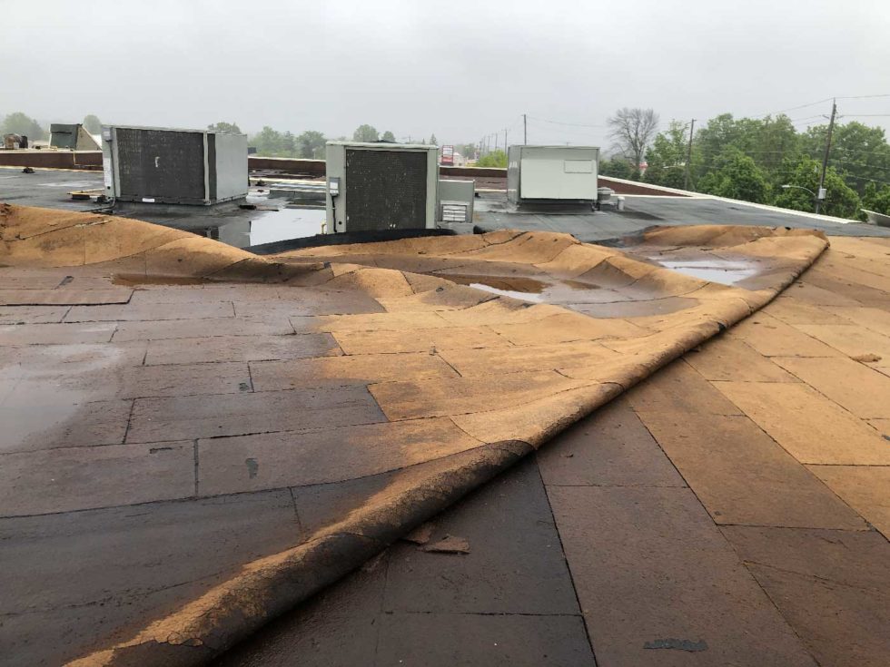 The Canadian Canoe Museum sustained damage in the May 21 storm that hit across Ontario.