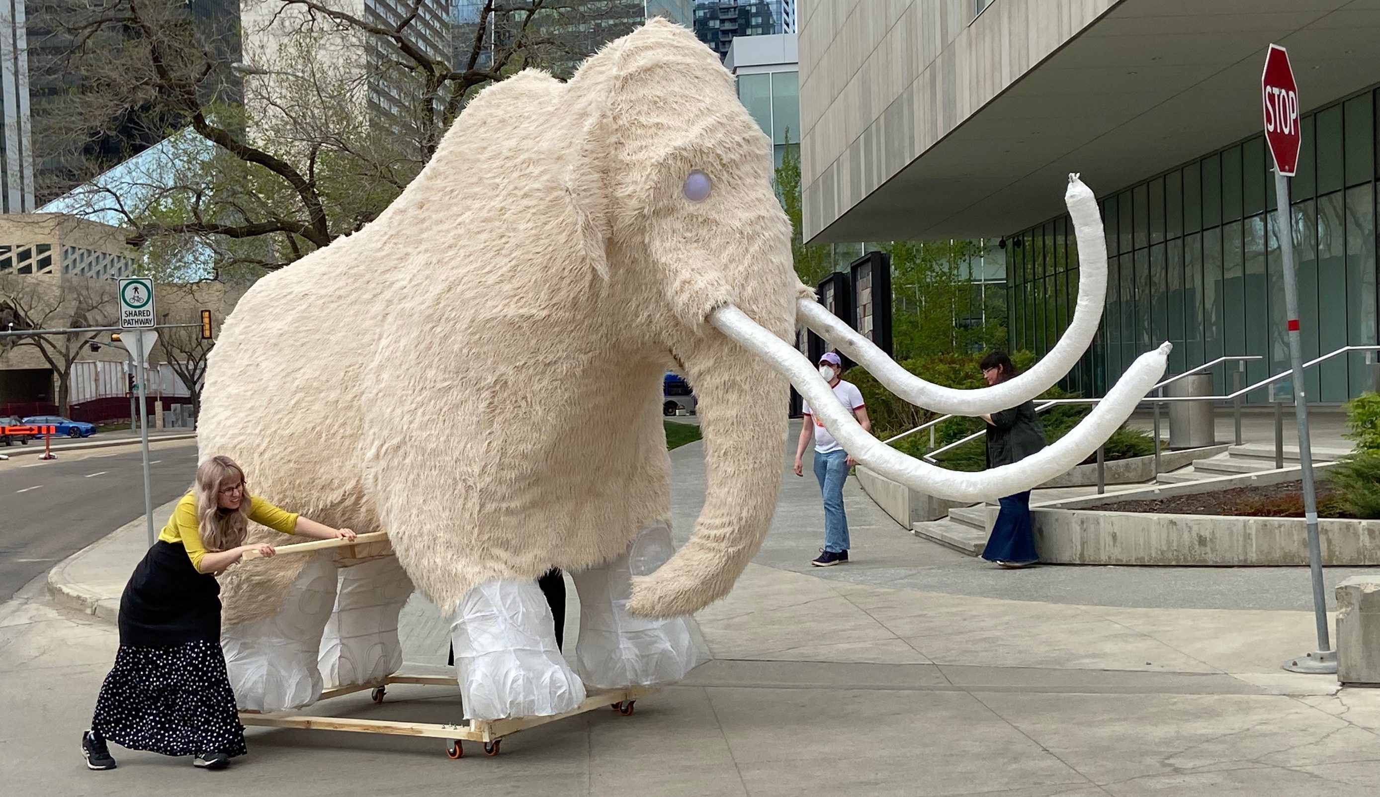 Colorado Mammoth on Instagram: Wooly had a blast filming a