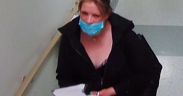 Woman who posed as inspector to steal from Toronto long-term care home arrested: police – Toronto