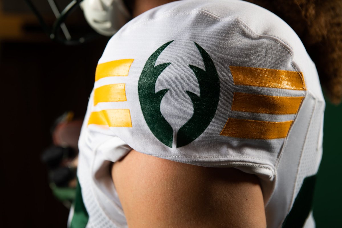 Back to basics: Edmonton Elks unveil new Double E helmets