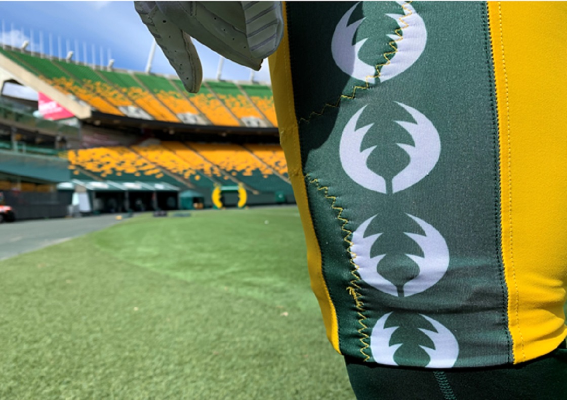 The Brick Field at Commonwealth Stadium