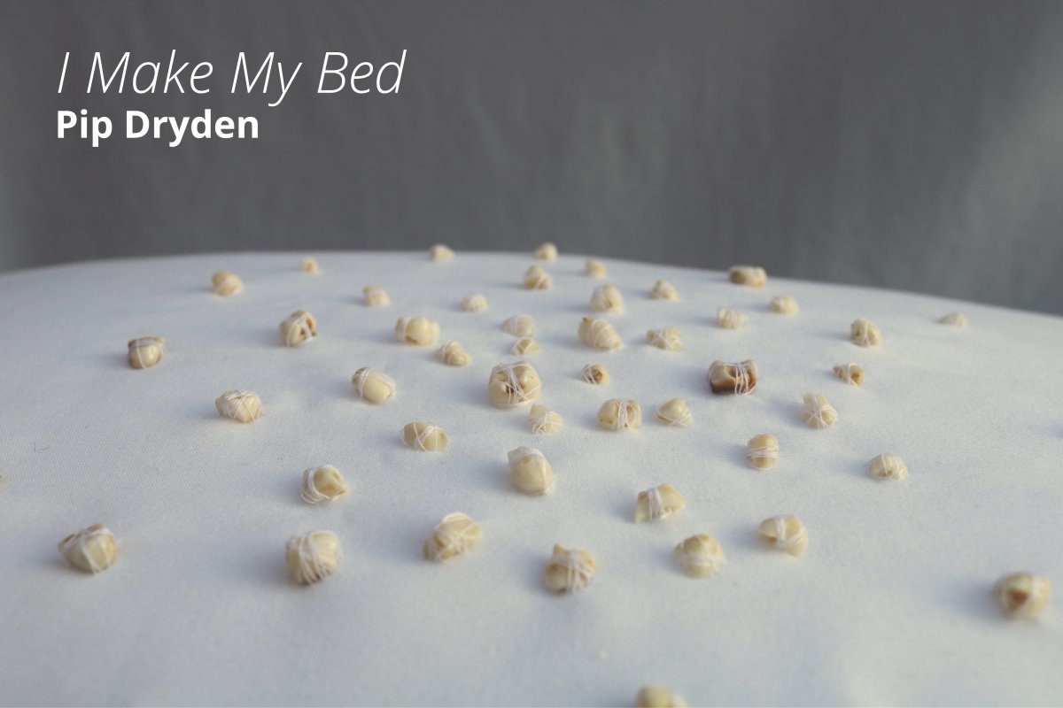 I Make My Bed by Pip Dryden at the Alternator Centre for Contemporary Art - image