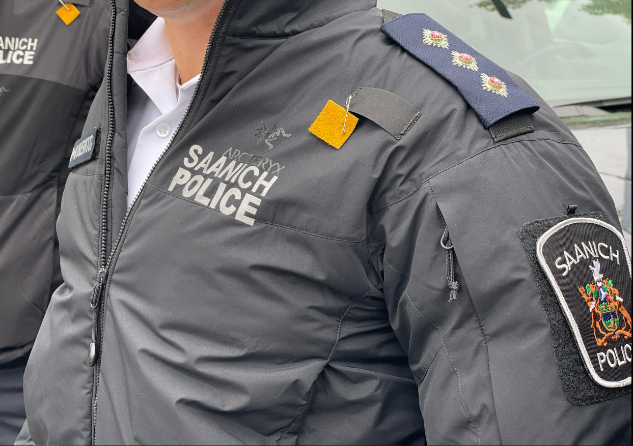 B.C. man swindled nearly $200K from romance scam victims: Saanich police - BC - Vimarsana News