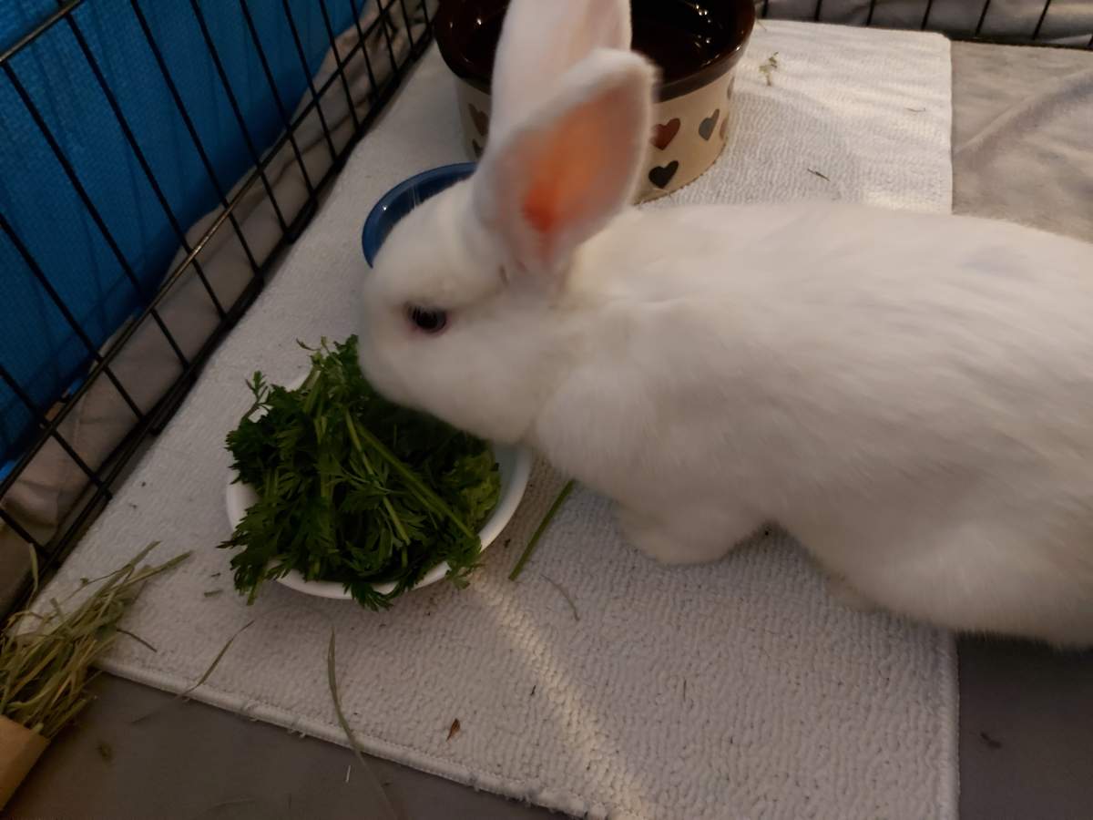 Photo from Popcorns and Binkies