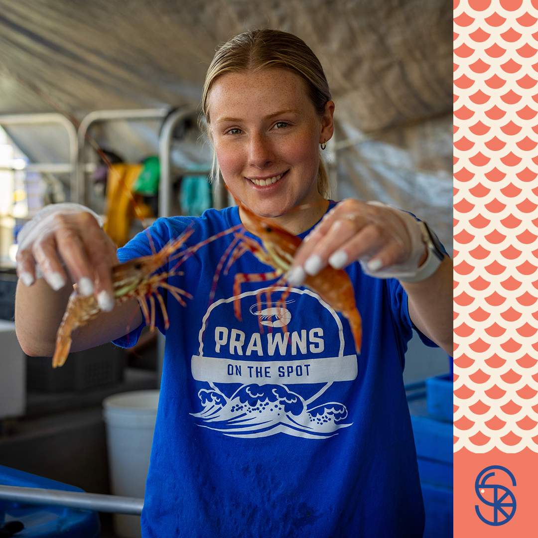 Steveston Spot Prawn & Seafood Celebration - image