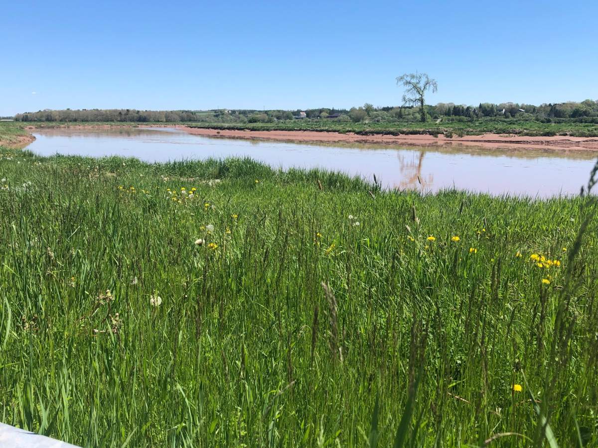 The project will include a clean-up of the Shubenacadie River and tree planting around the river to create a buffer zone.