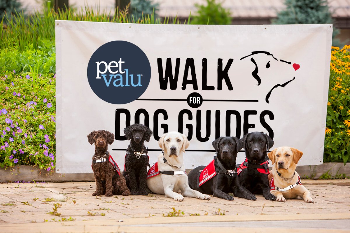 Okanagan Falls Pet Valu Walk for Dog Guides - image