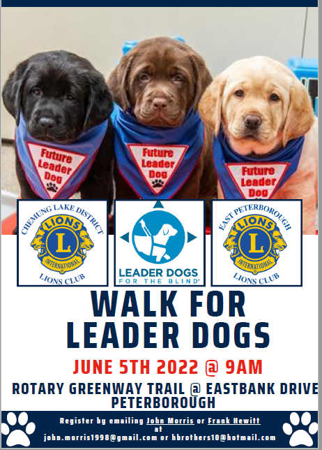 Walk for Leader Dogs - image