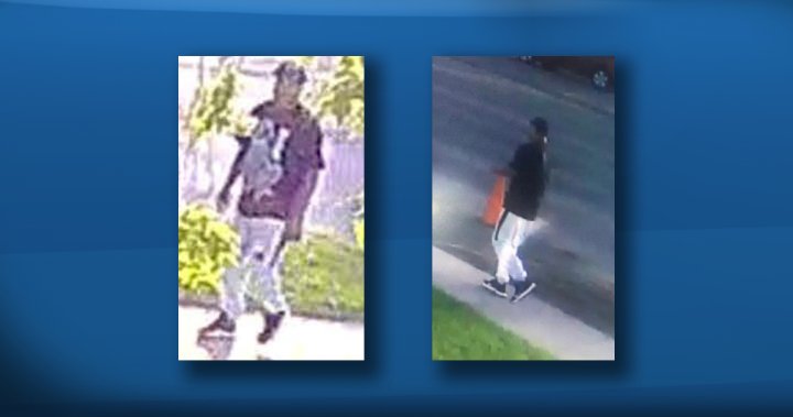 Man wanted after young woman sexually assaulted in west Edmonton – Edmonton