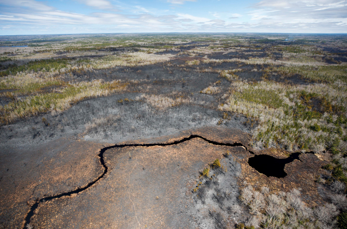 The Department of Natural Resources and Renewables says the fire was most likely caused by people.