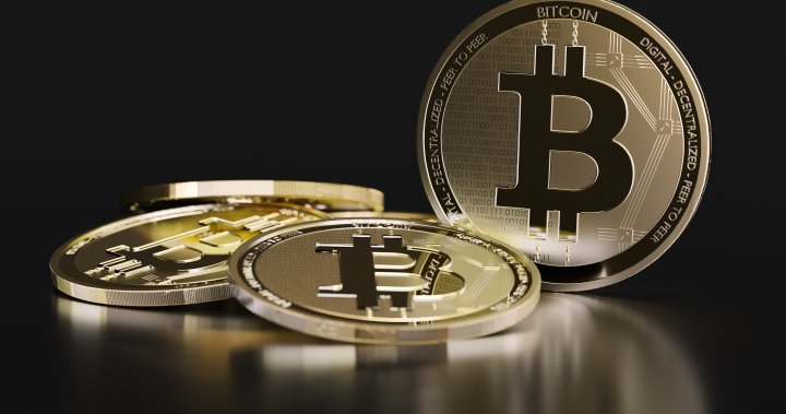 Bitcoin has lost more than half its value since 2021 peak – National