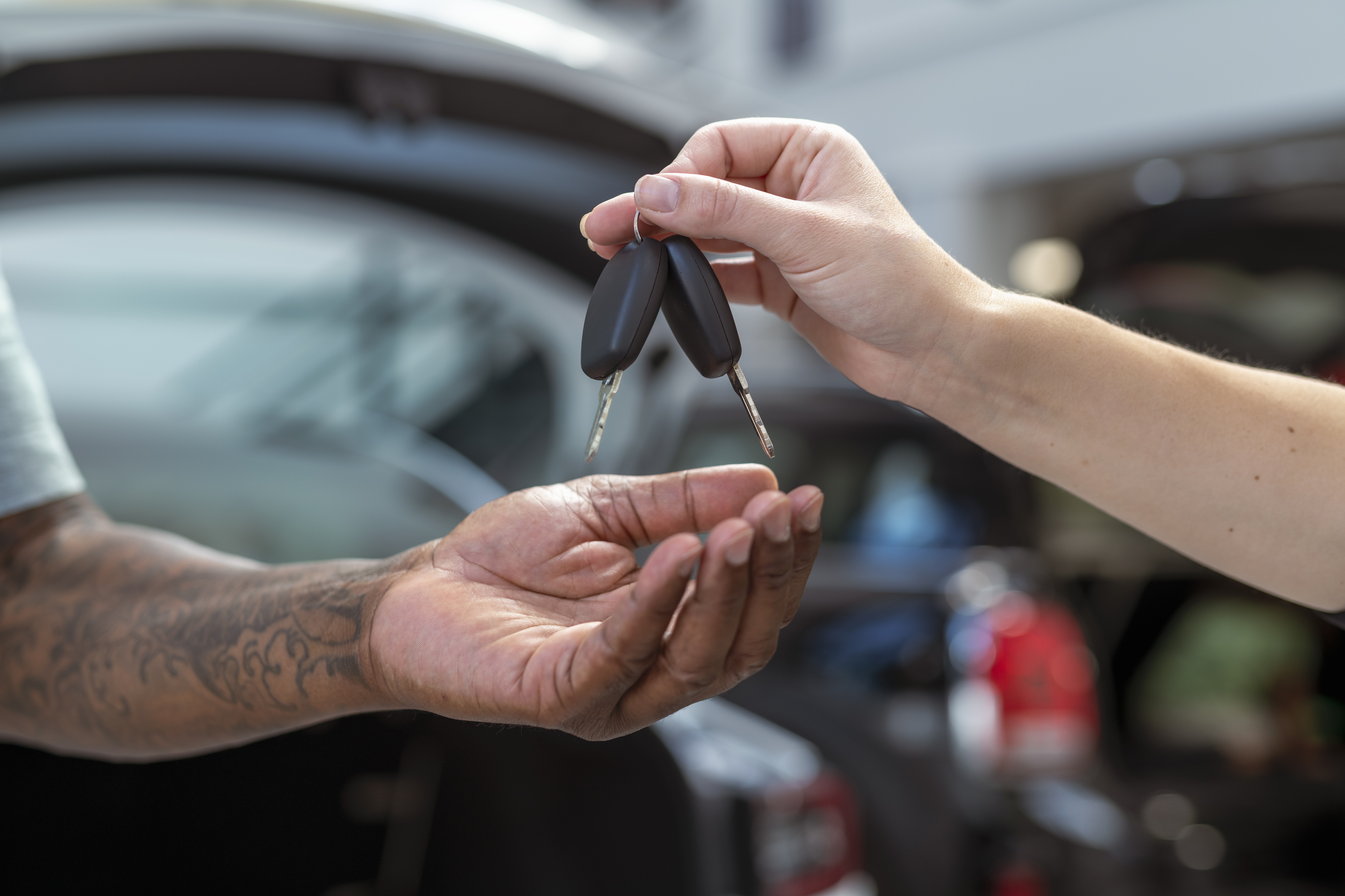 Auto theft group caught after $3M in vehicles stolen from Toronto area: police