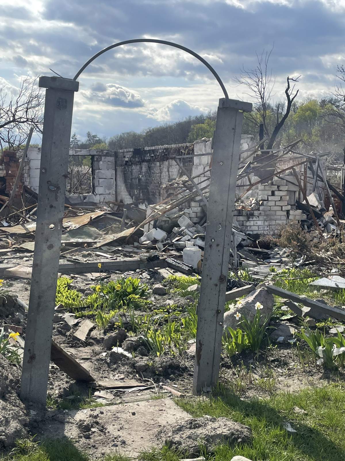 Daffodils among the wreckage of the village.