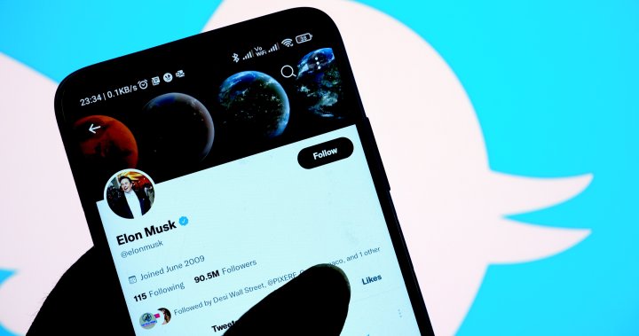 Elon Musk: Twitter takeover ‘temporarily on hold’ amid spam, fake accounts on platform