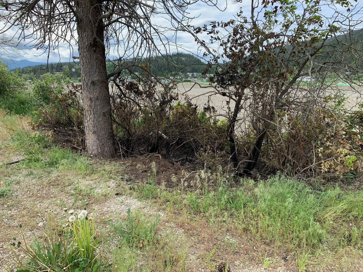 A woman was allegedly seen lighting brush fires along Highway 97A near Danforth Road Saturday, shortly after 7 p.m.,.