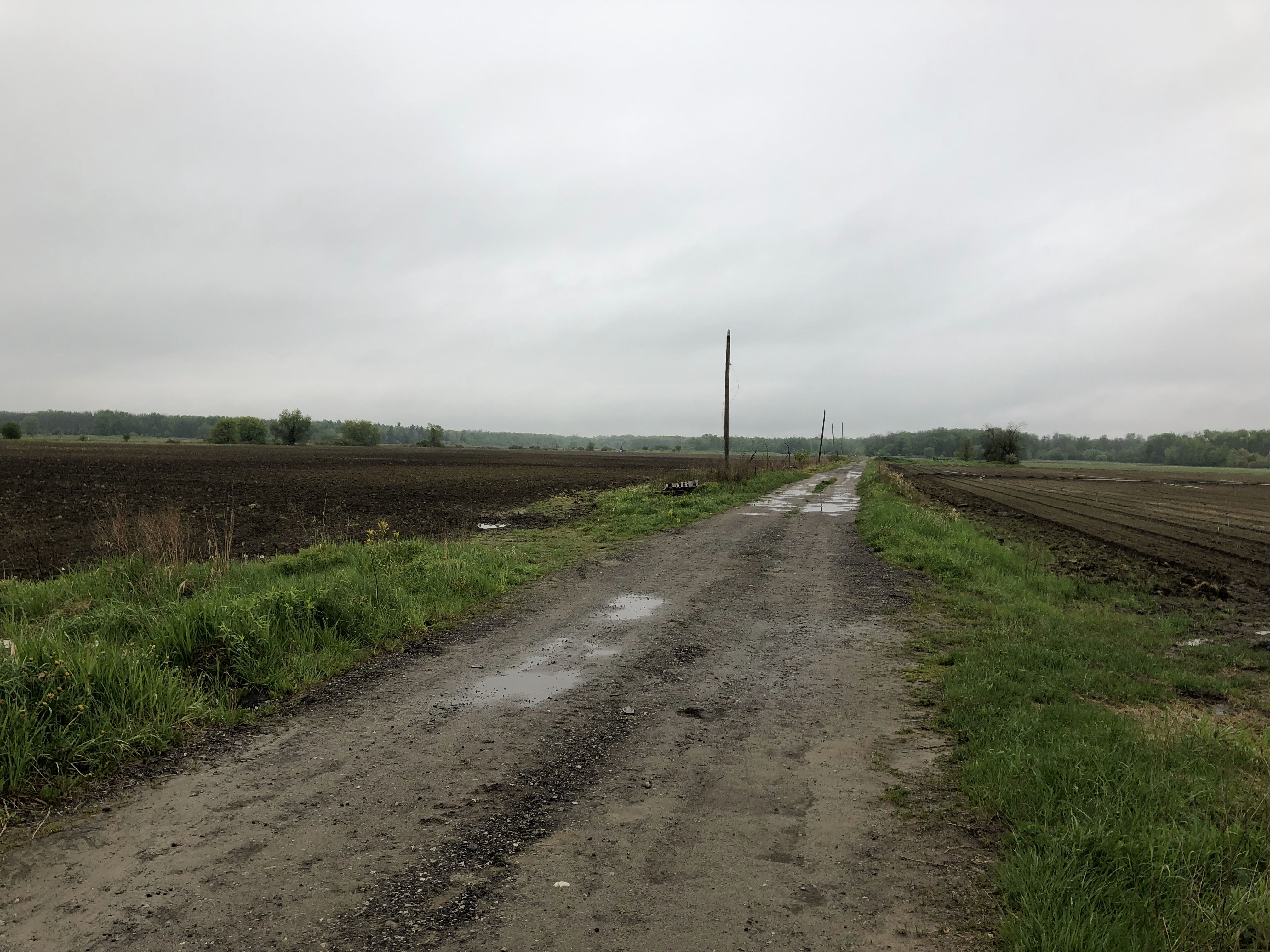 This dirt road, and the nearby farms, near Bradford, Ont., will be replaced by a four-lane freeway critics say, if built, will do untold environmental damage to the region’s sensitive ecosystem. But supporters say the region needs the highway to address congestion.