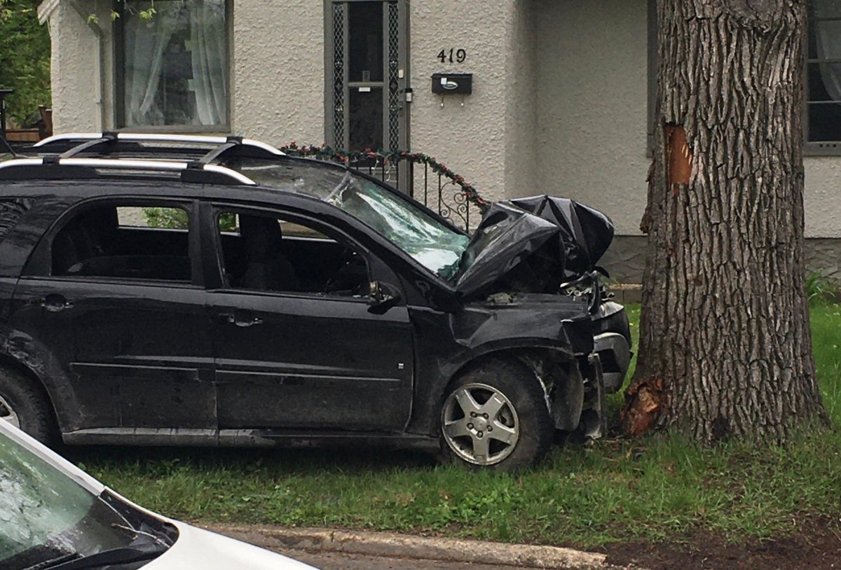 Winnipeg police said the driver of this vehicle fled a traffic stop before crashing into a tree on Truro Street.