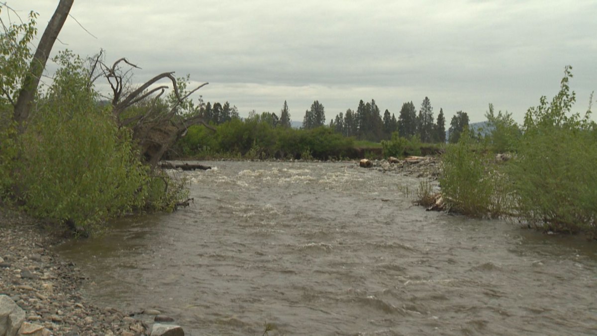 Water levels in some rivers and creeks in the Southern Interior are rising due to snow melt and repeated rain fall. 