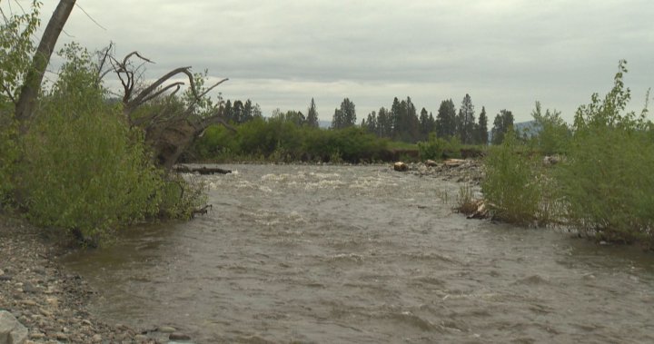 High Streamflow Advisory issued for South B.C. Interior rivers – Okanagan
