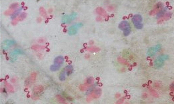 Item of clothing – a blanket.