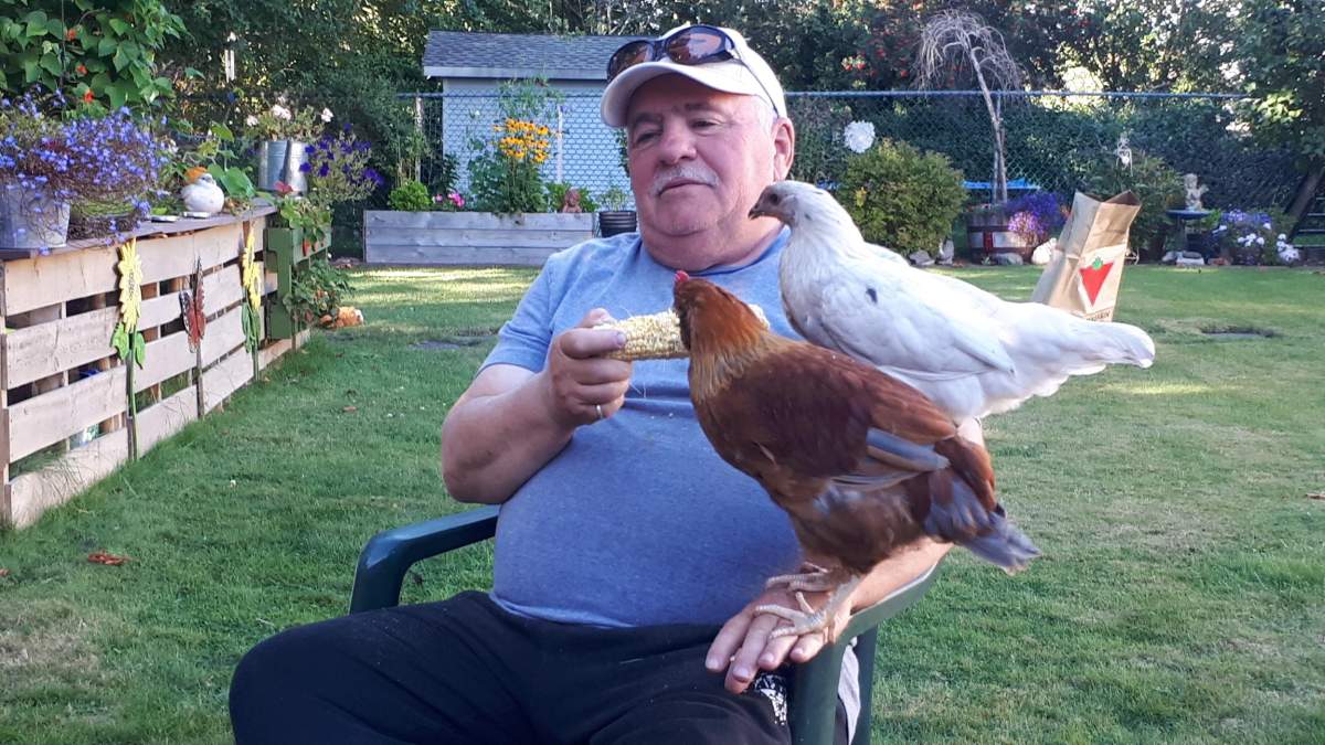 man with chickens