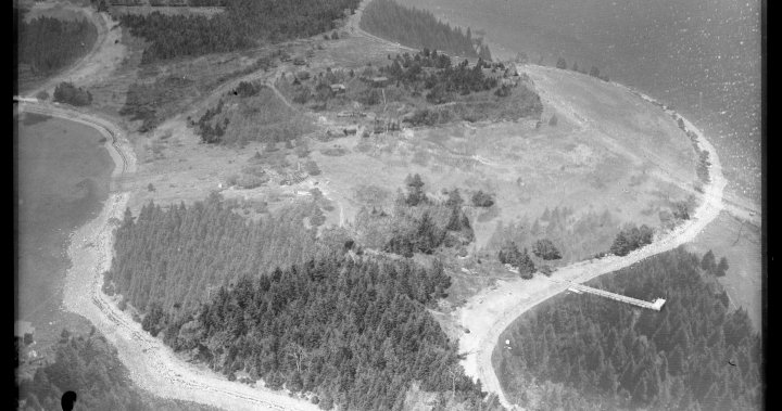 B.C. company works to uncover buried treasure on world famous Oak Island