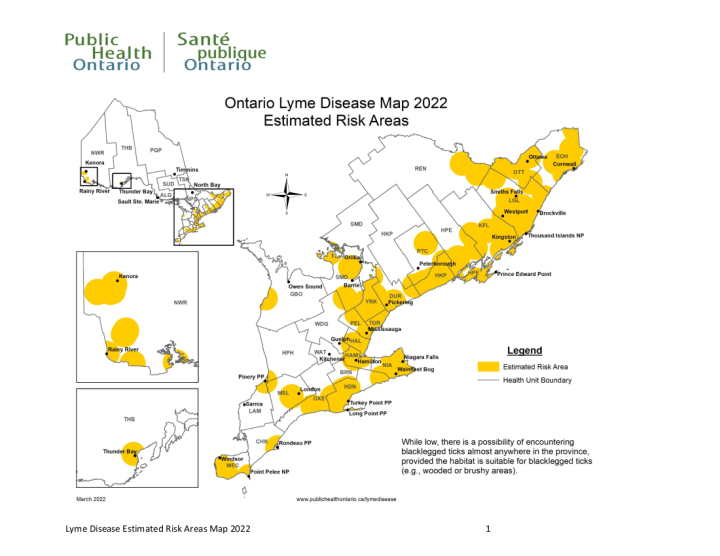 Hamilton included in Ontario’s ‘estimated risk areas’ for Lyme disease