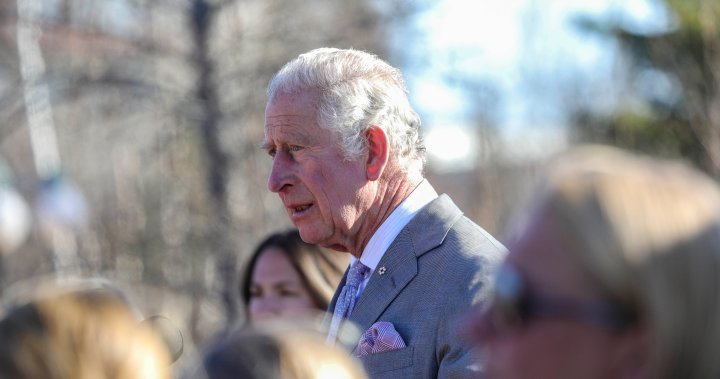 Prince Charles’ charity got donation from bin Laden relative, report shows