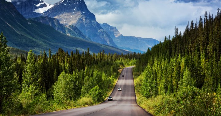 Majority of Canadians ready to travel this summer: survey