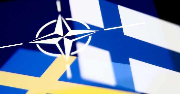Turkey will support Finland, Sweden NATO bids after countries reach agreement