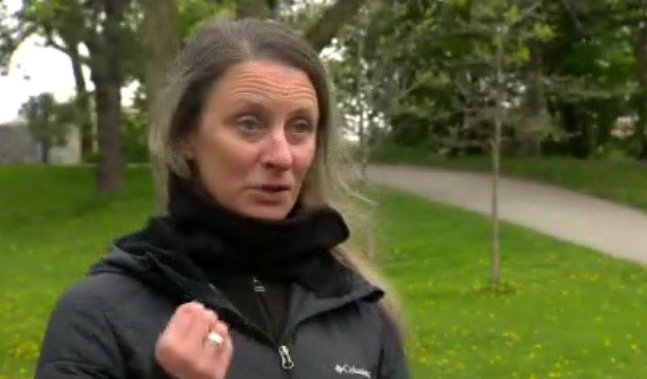 Toronto woman shares encounter with dozens of ticks in her suburban backyard