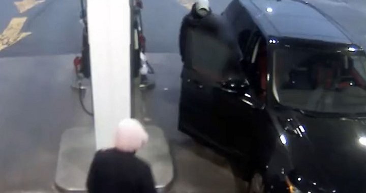 York police release compilation video of carjackings in Toronto area – Toronto