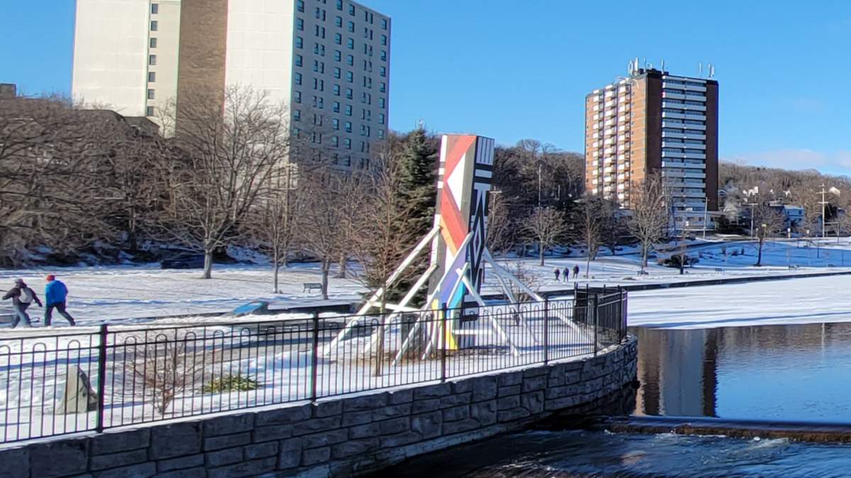 The palm trees were boxed up in the winter, but they are still susceptible to the cold.