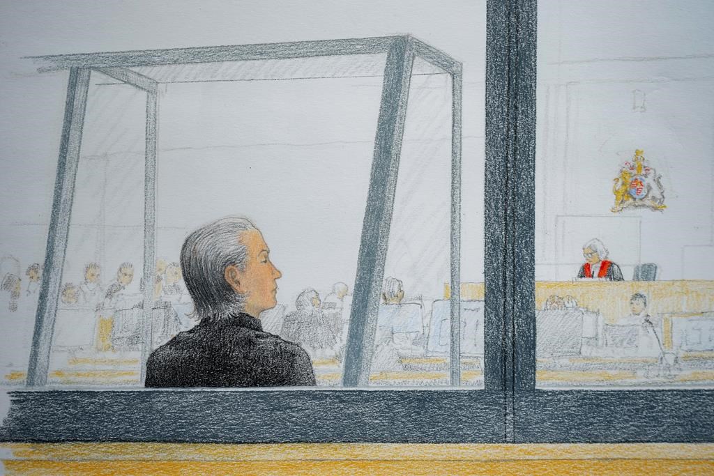 Aydin Coban is pictured, in this courtroom sketch, at B.C. Supreme Court, in New Westminster, B.C., on Monday, June 6, 2022.THE CANADIAN PRESS/Jane Wolsak.
