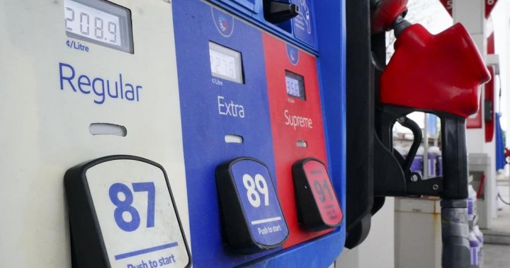 64% say rising gas prices will likely impact Ontario road trip plans: CAA survey
