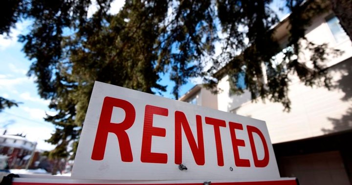Nearly half of Canadian tenants will continue to rent indefinitely: survey – National |  Globalnews.ca