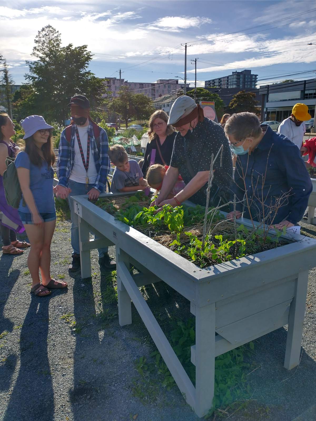 Visitors were able to feel and sample plants in Common Roots garden plots while blindfolded.